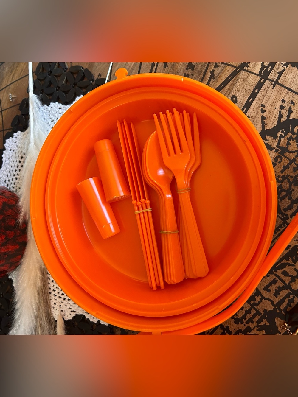 Vintage Picnic Master Orange Camping Dinnerware Set | 1970s Retro Portable Kit